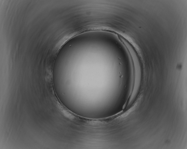 X0000090860897200708241856