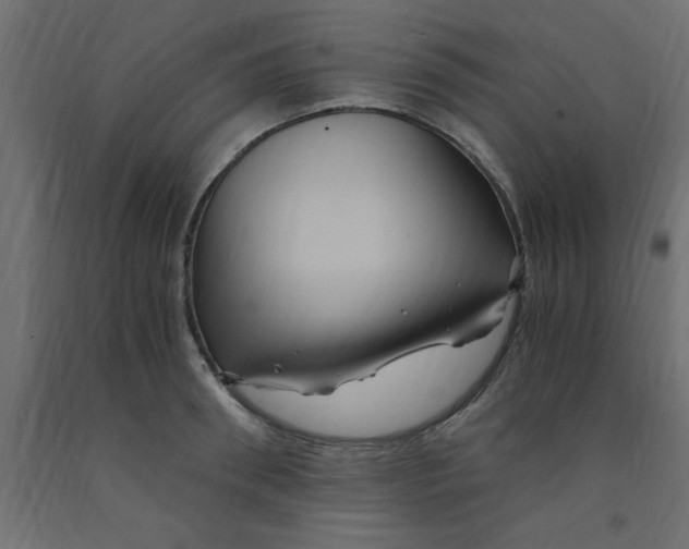 X0000090860898200708241856