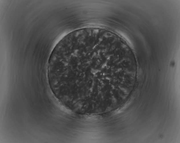 X0000090860899200708241856