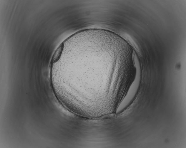 X0000090860900200708241856