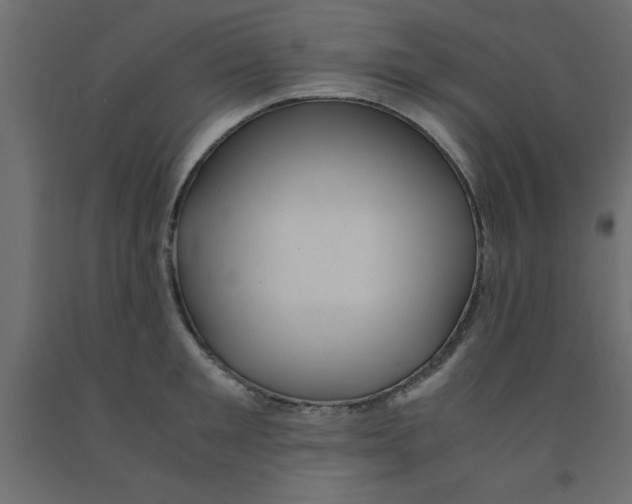 X0000090860901200708241856