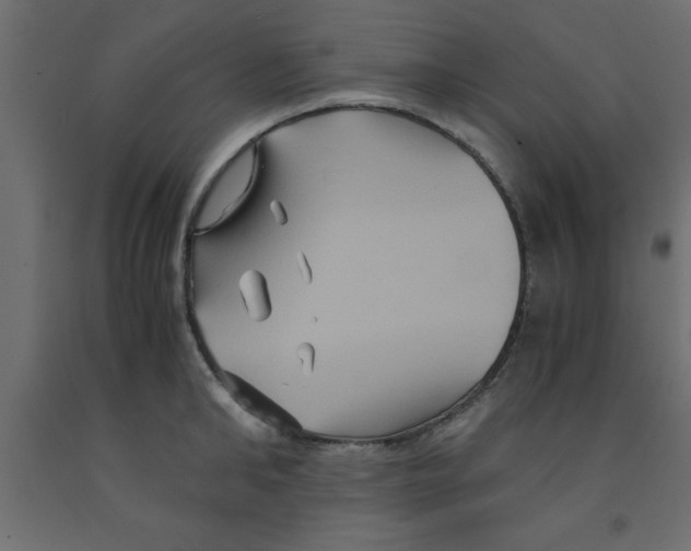 X0000090860902200708241856