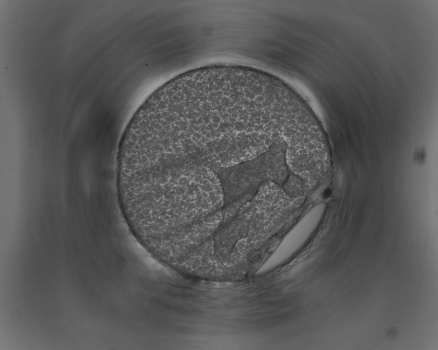 X0000090860903200708241856