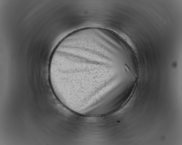 X0000090860904200708241856