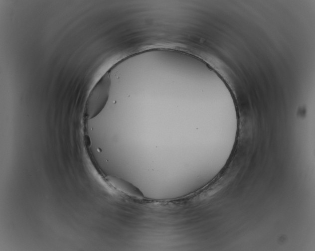 X0000090860906200708241856