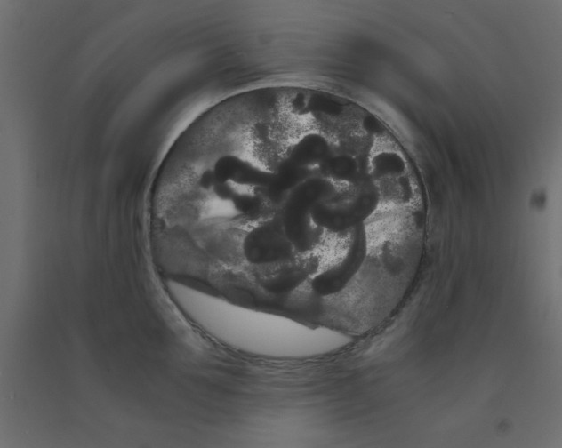 X0000090860907200708241856