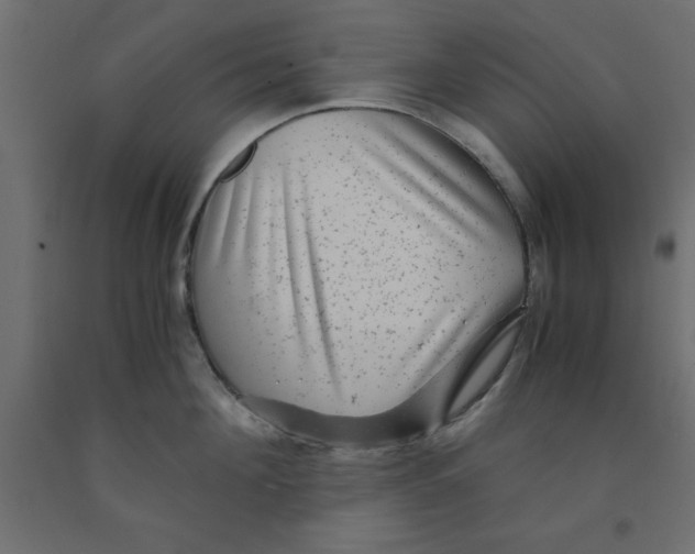 X0000090860908200708241856