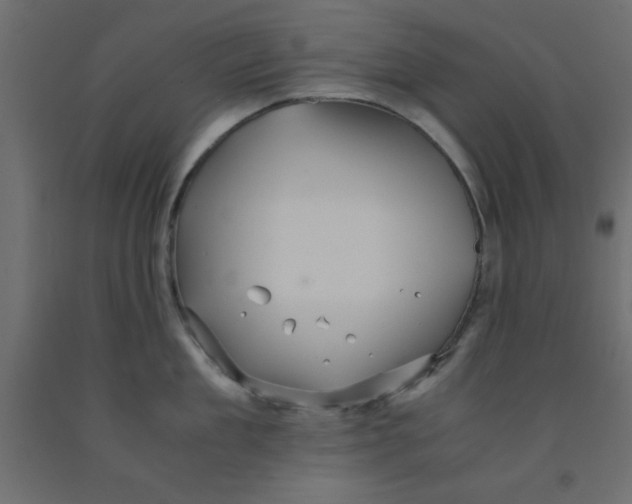 X0000090860909200708241856