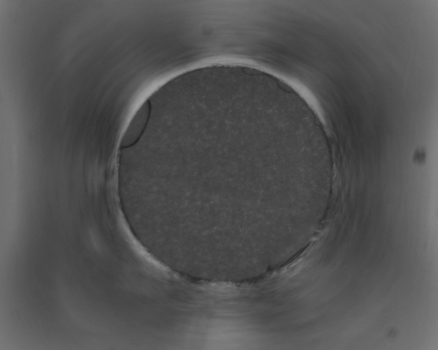 X0000090860911200708241856