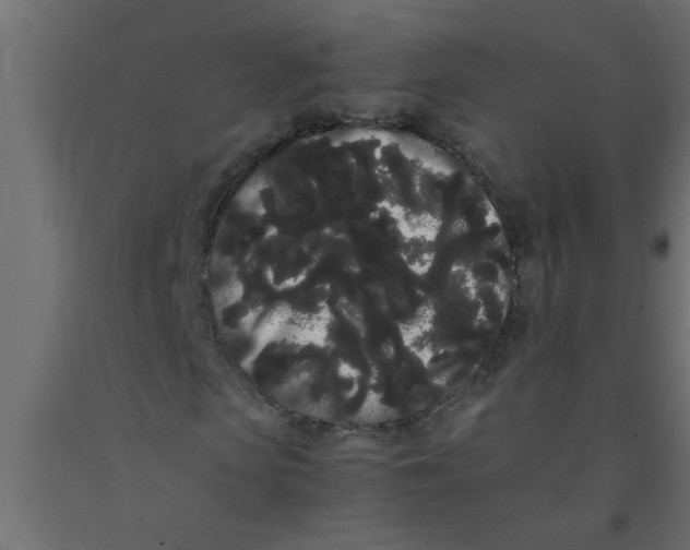 X0000090860913200708241855