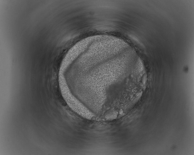 X0000090860917200708241855