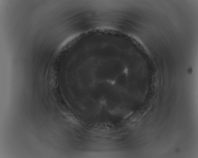 X0000090860919200708241855