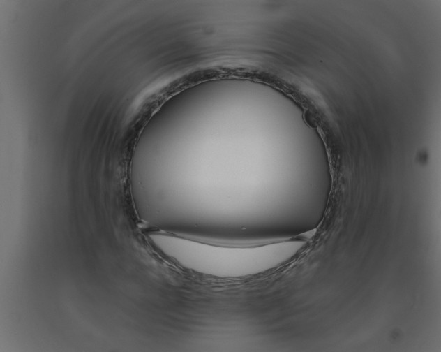 X0000090860920200708241855