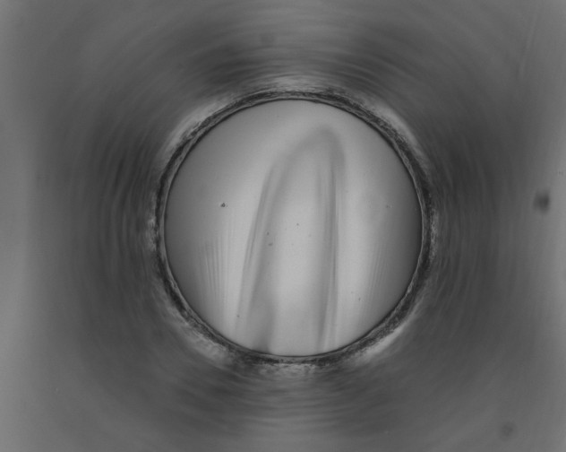 X0000090860930200708241855