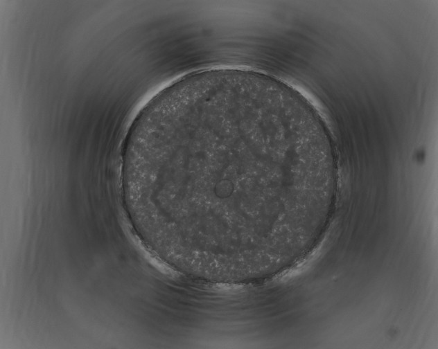 X0000090860933200708241855