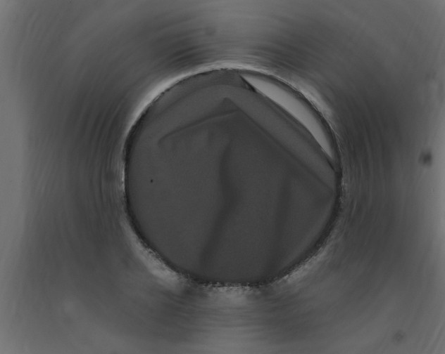 X0000090860934200708241855