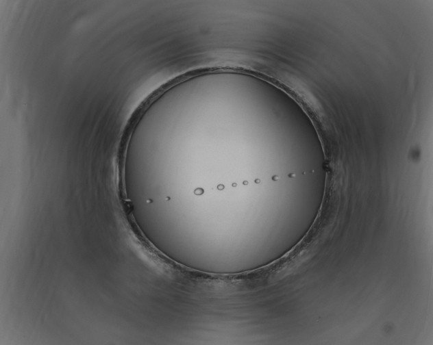 X0000090860936200708241855