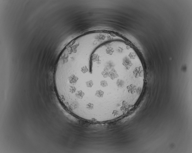 X0000090860937200708241855