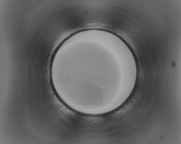 X0000090860941200708241855