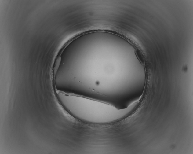 X0000090860942200708241855