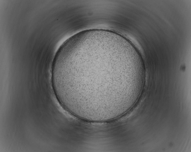 X0000090860944200708241855