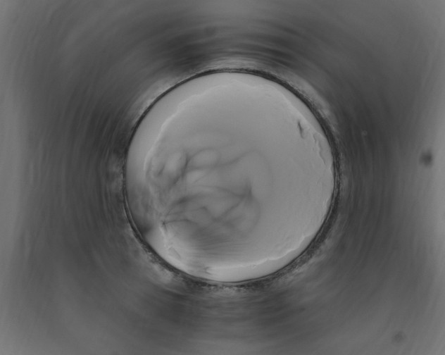 X0000090860945200708241855