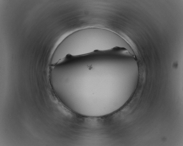 X0000090860956200708241855