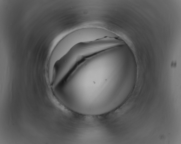 X0000090860960200708241855