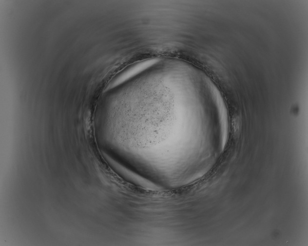 X0000090860963200708241855