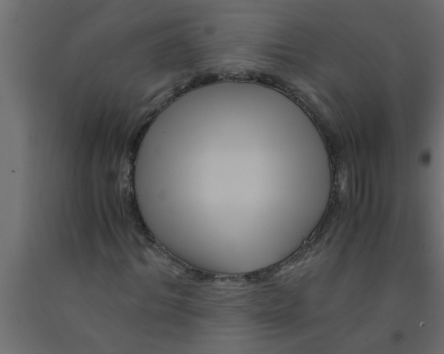 X0000090860964200708241855