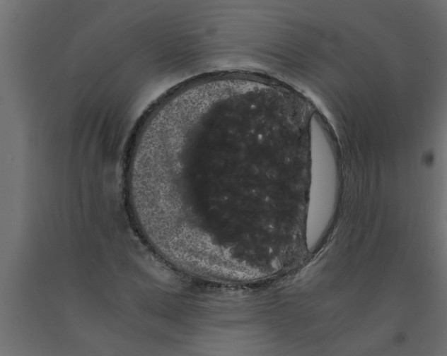 X0000090860975200708241855