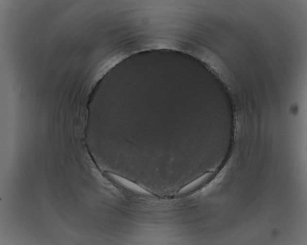 X0000090860977200708241855