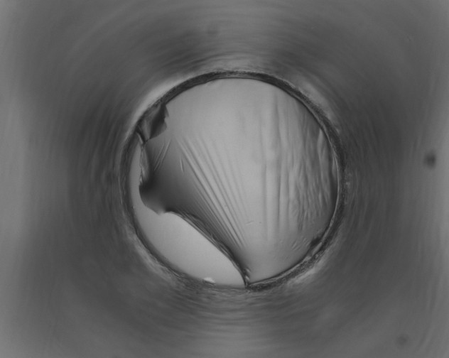 X0000090860981200708241855