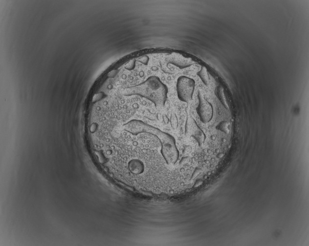 X0000090860983200708241855