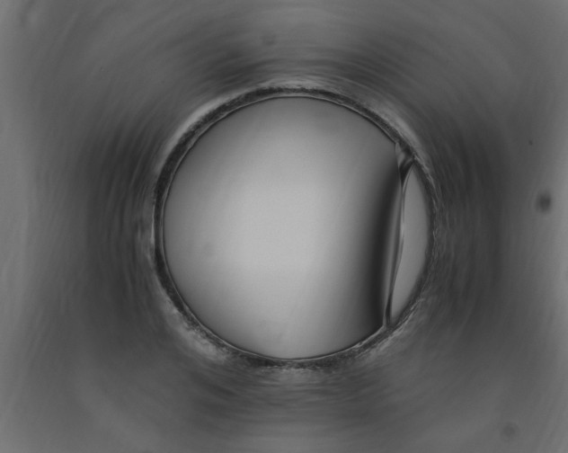 X0000090860984200708241855