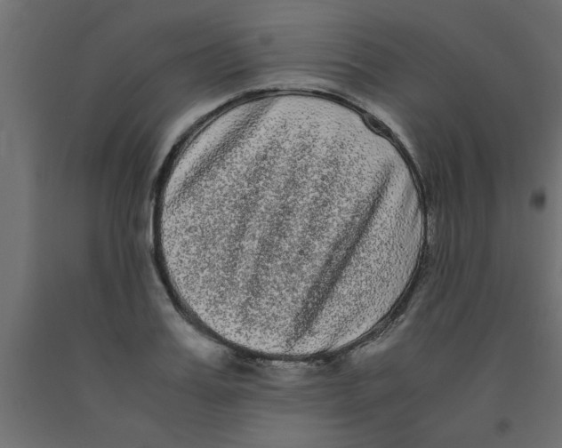 X0000090860987200708241855