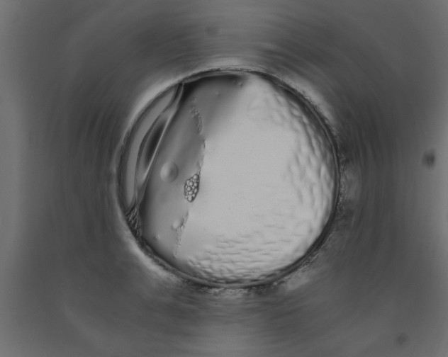 X0000090860991200708241854