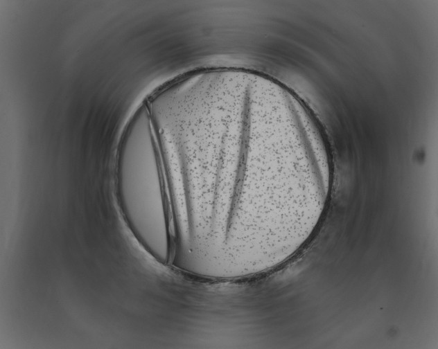 X0000090860992200708241854