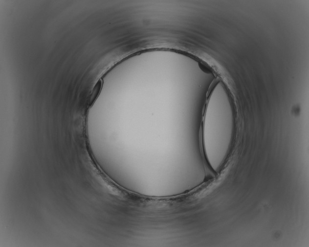 X0000090860993200708241854