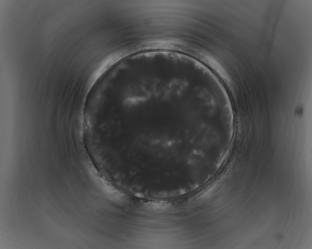 X0000090860994200708241854