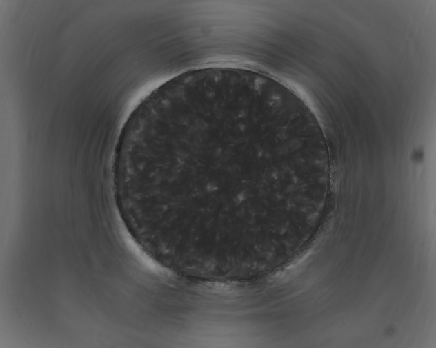 X0000090860995200708241854