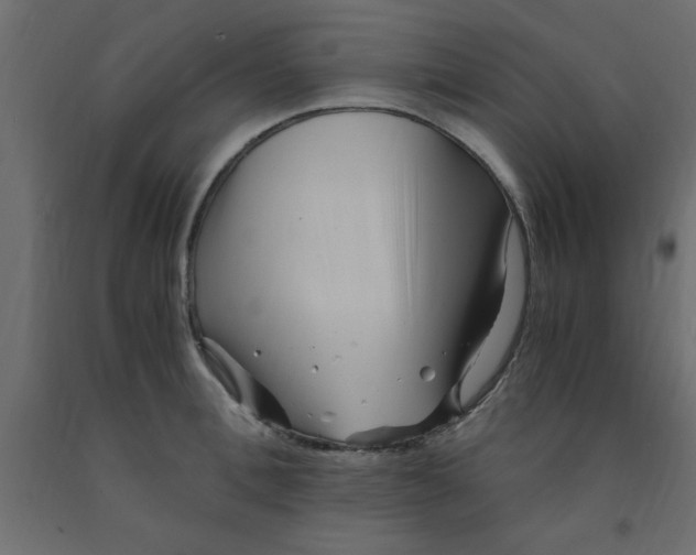 X0000090860996200708241854