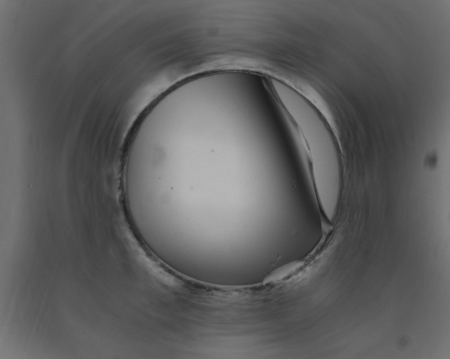 X0000090860997200708241854