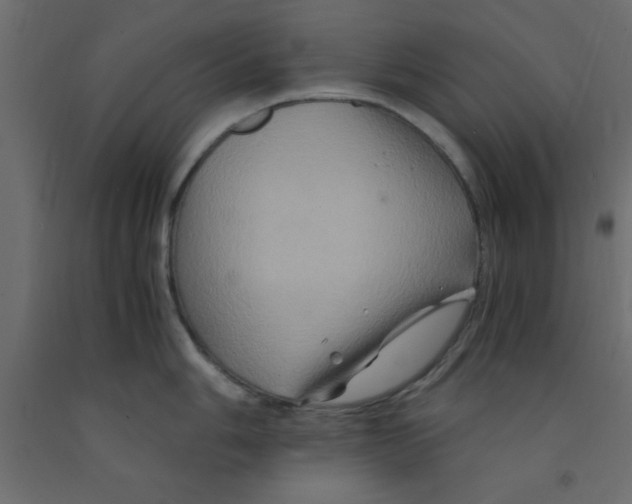 X0000090861006200708241854