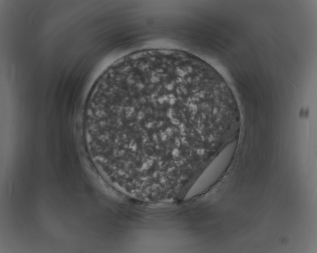 X0000090861008200708241854