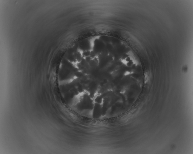 X0000090861011200708241854