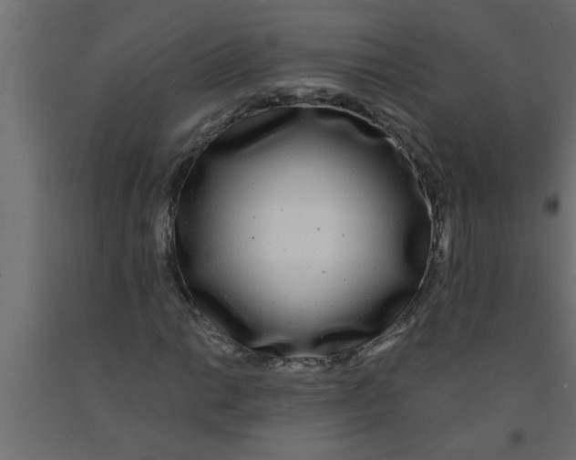 X0000090861014200708241854