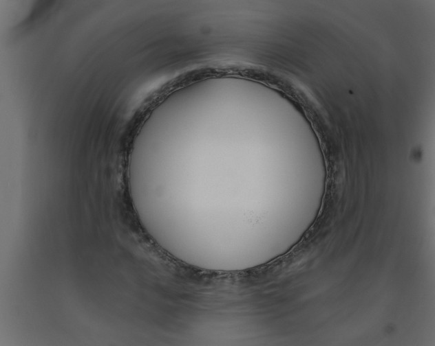 X0000090861016200708241854