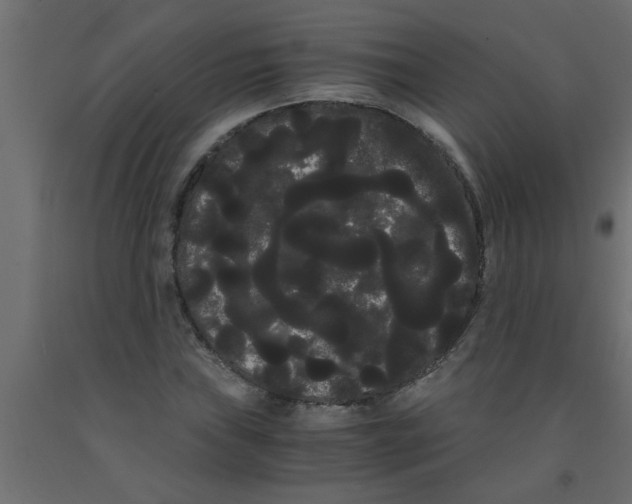 X0000090861019200708241854