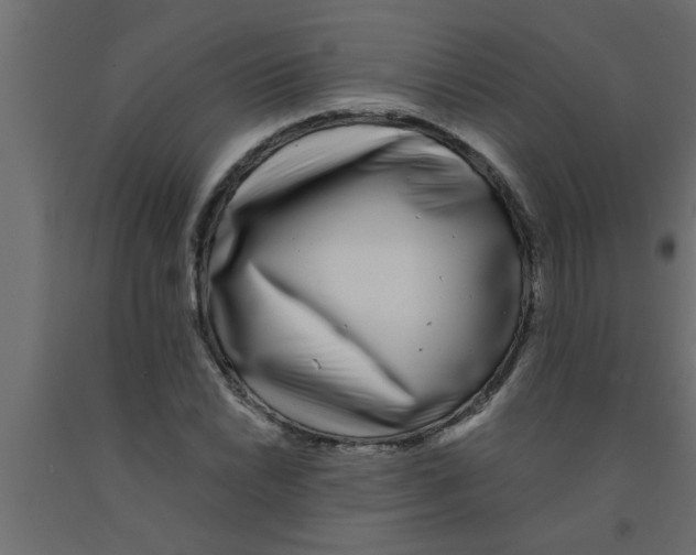 X0000090861022200708241854